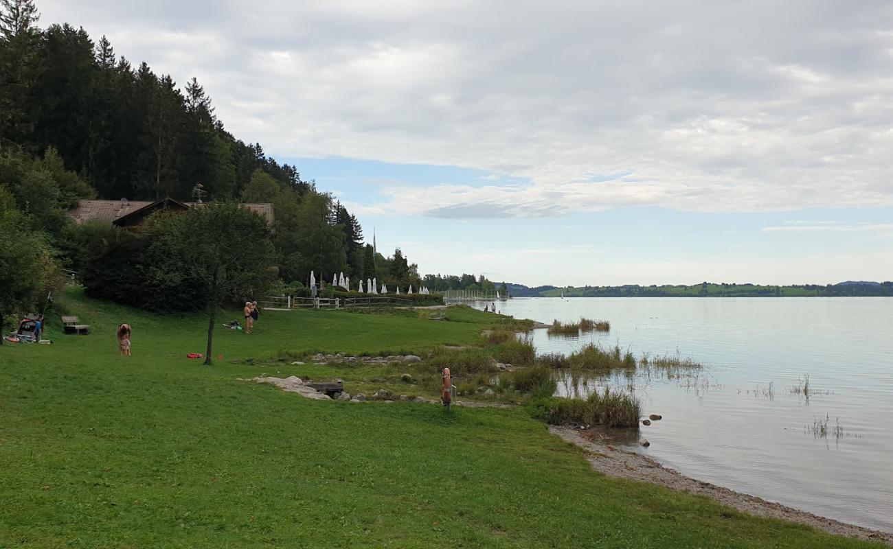 Photo de Familienbad Forggensee avec herbe de surface