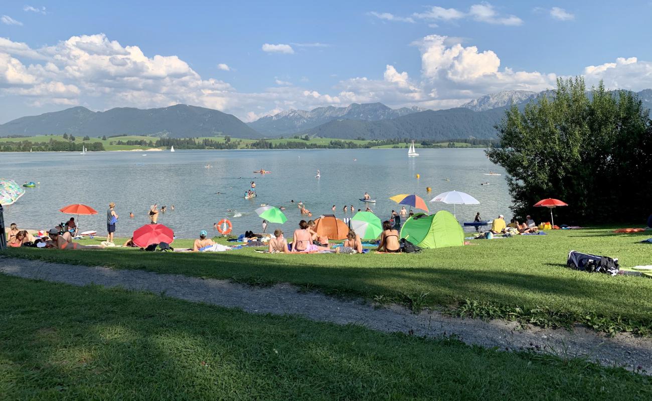 Photo de Dietringen Freibad avec galets beige de surface