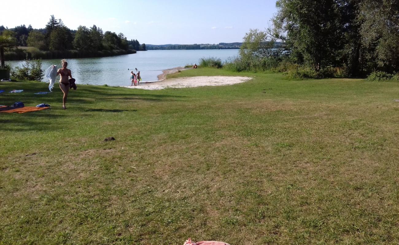 Photo de Hundestrand Salzachinsel avec herbe de surface