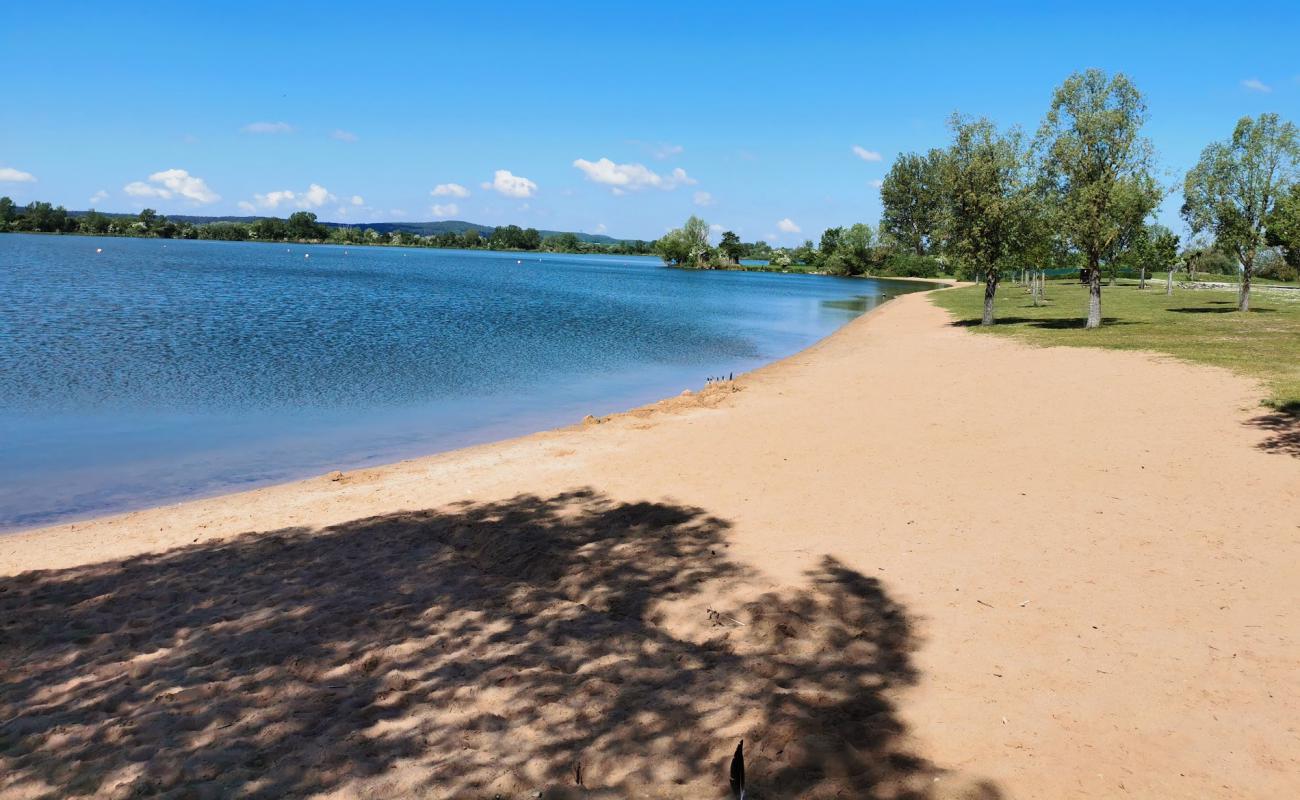 Photo de Seeufer Muhr am See avec sable beige de surface
