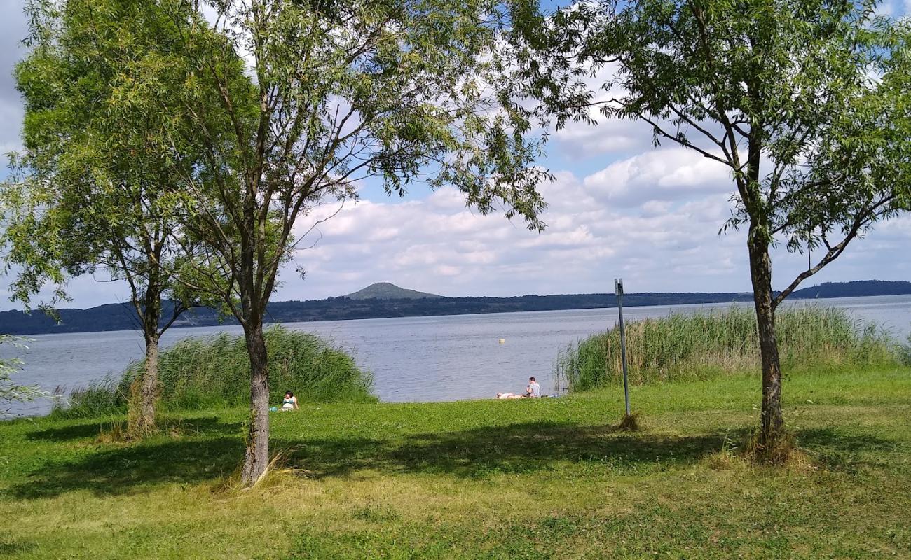 Photo de Badewiese Halbinsel Beach avec herbe de surface