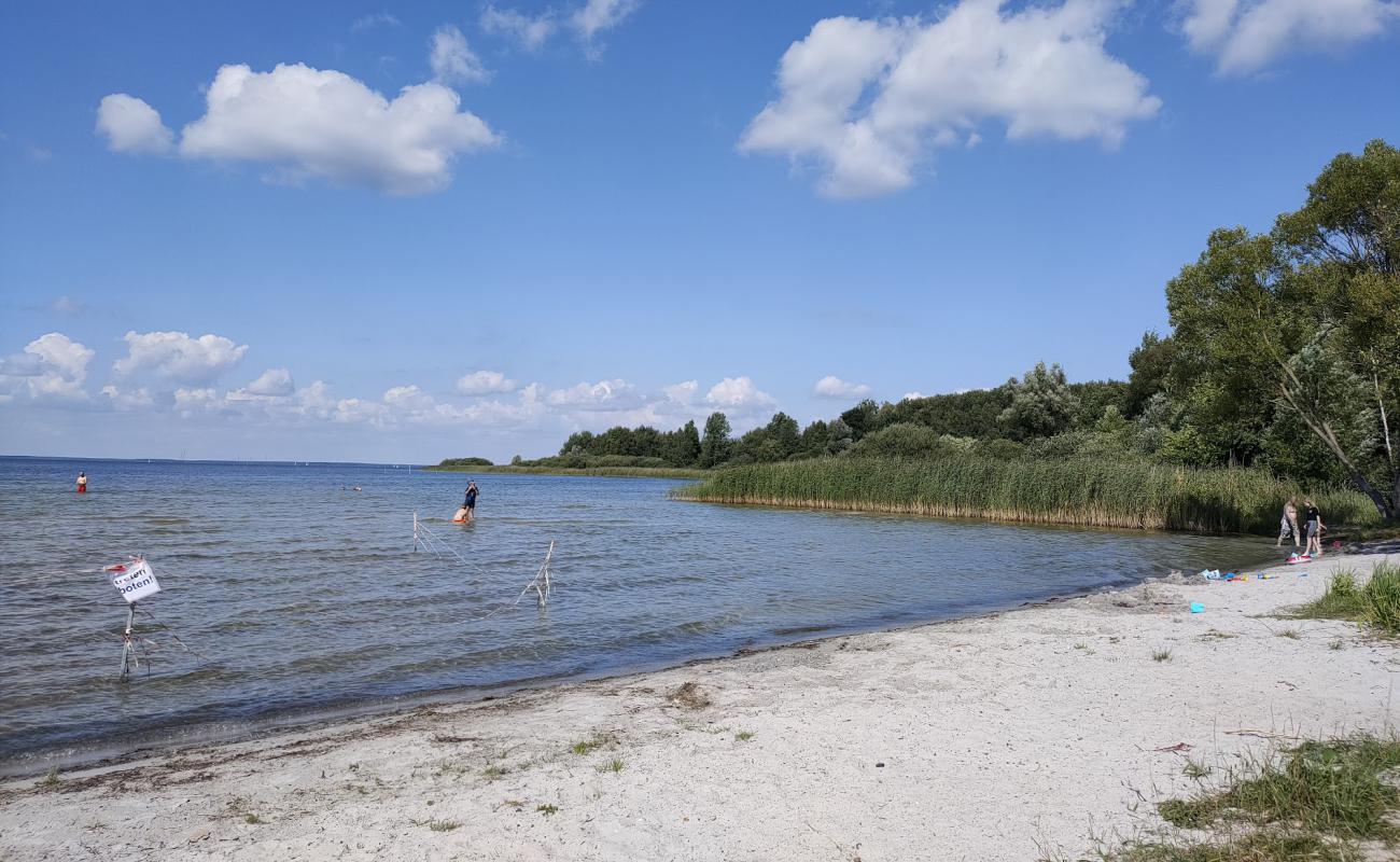 Photo de Badestelle Rechlin avec herbe de surface