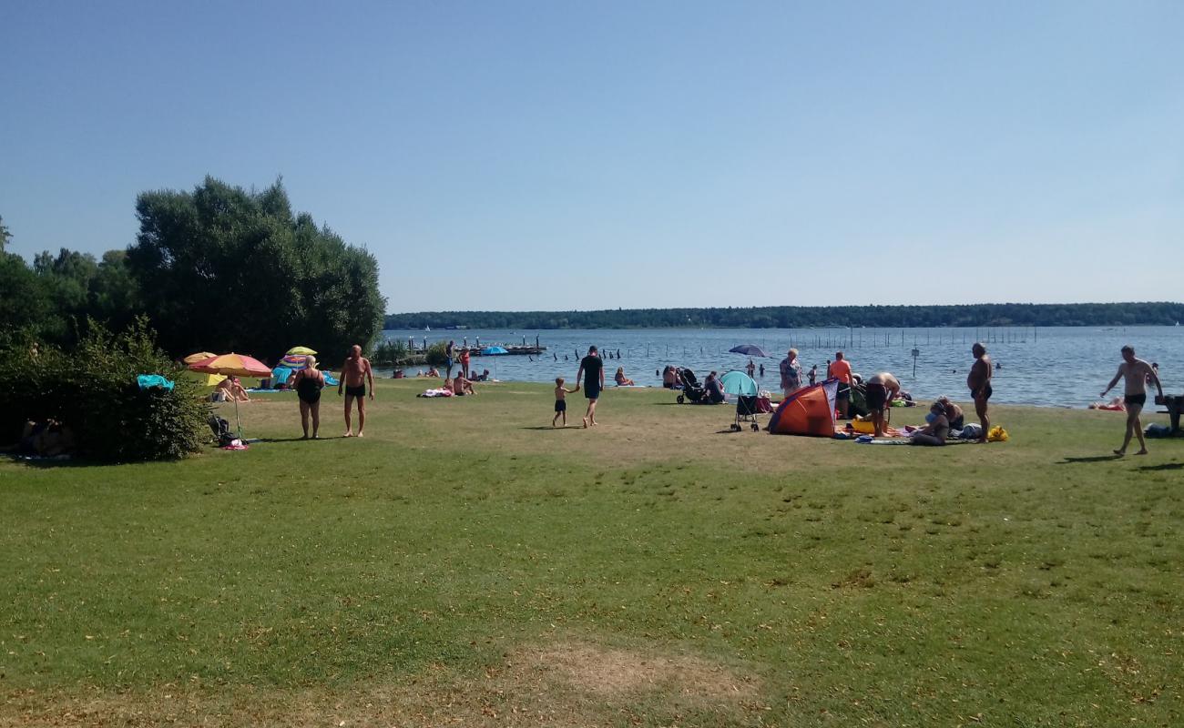 Photo de Volksbad Beach avec herbe de surface