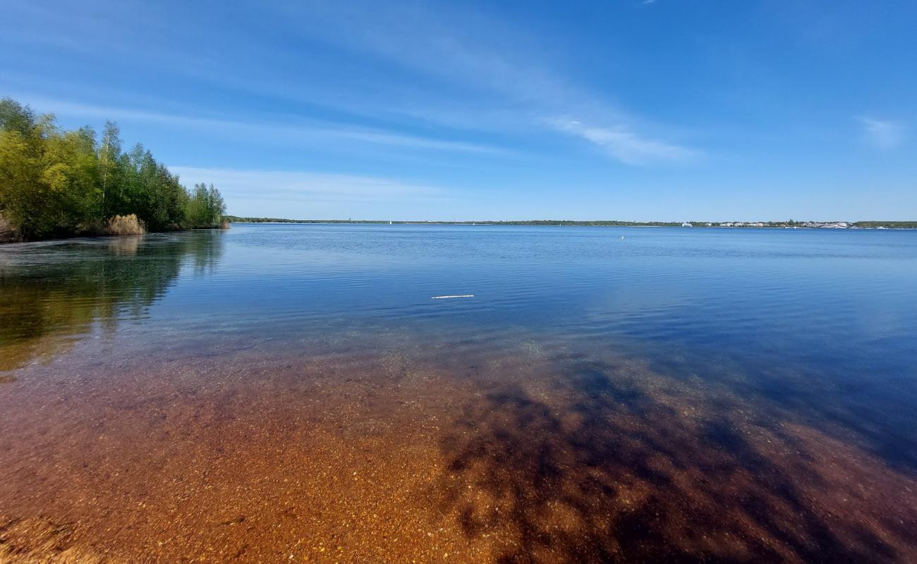 Photo de Weststrand FKK avec herbe de surface