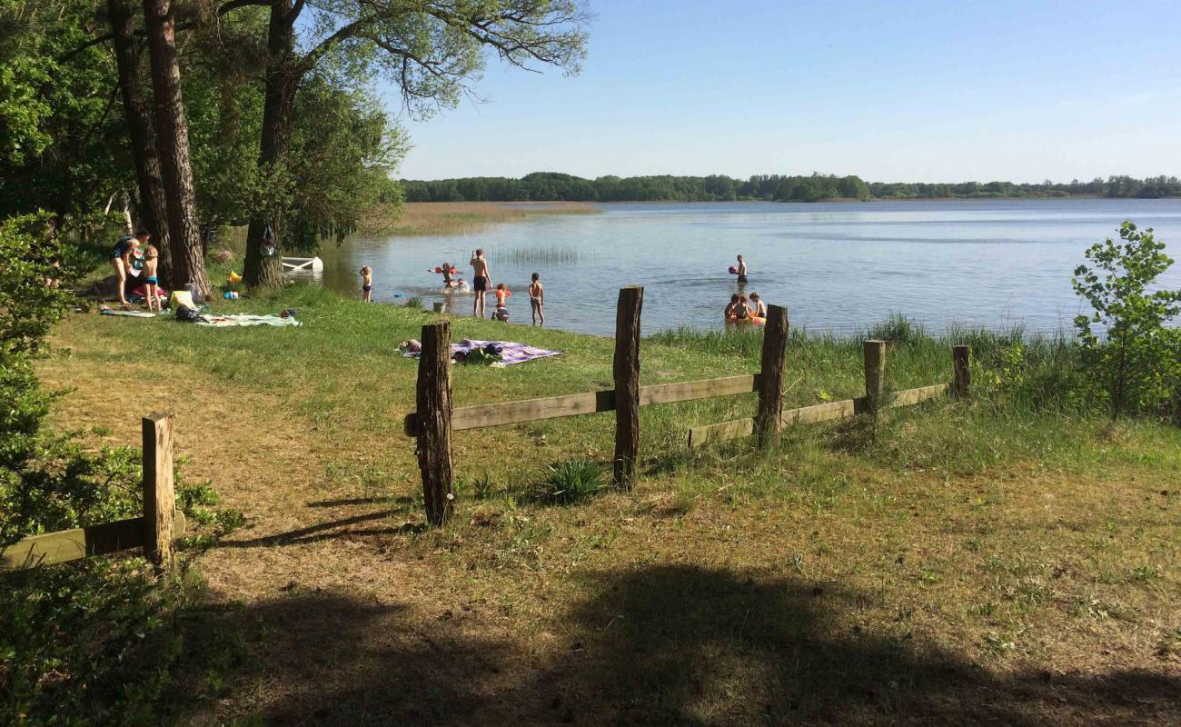 Photo de Feriendorf Dobbiner Strand avec herbe de surface