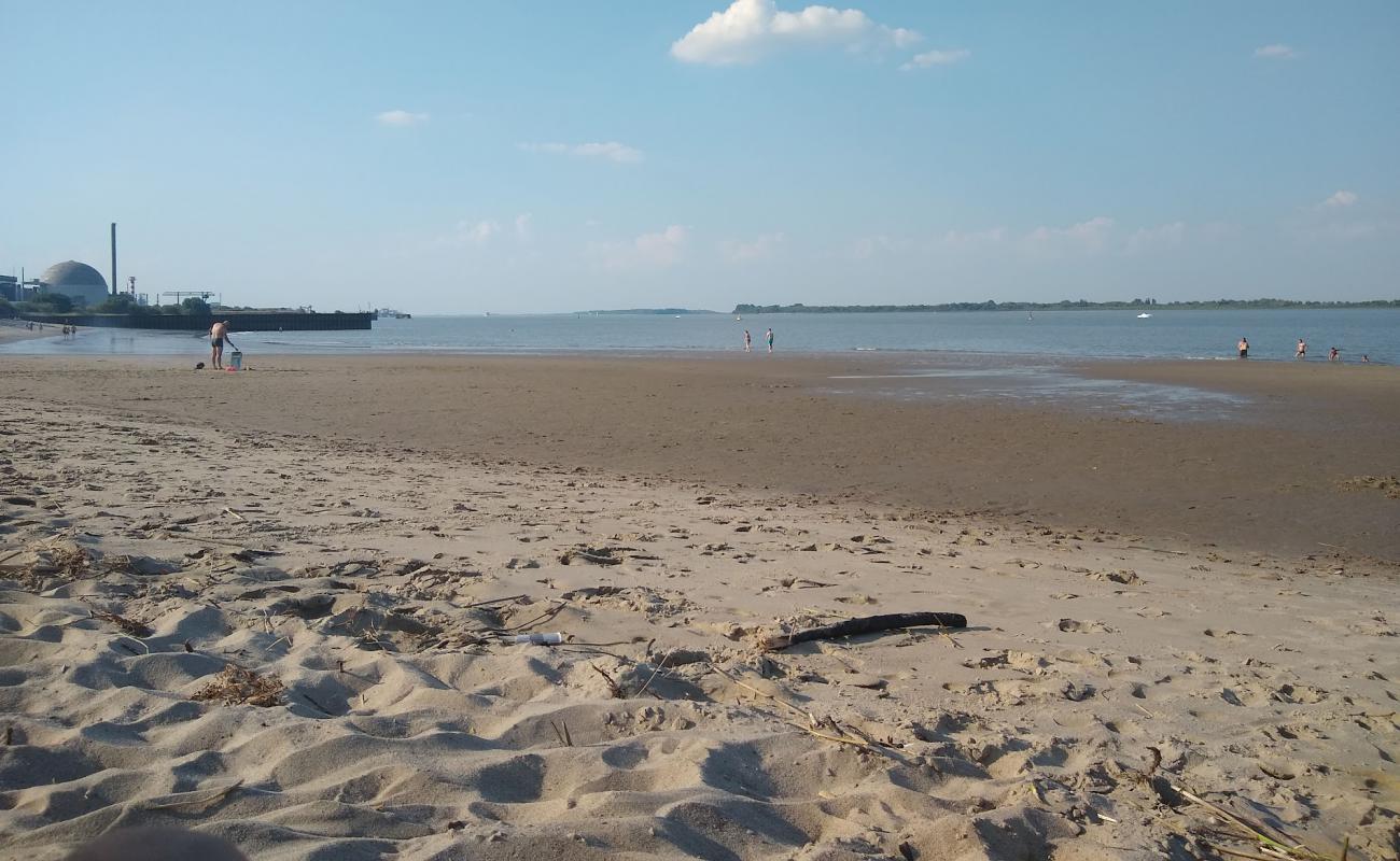 Photo de Bassenfleth Elbstrand avec sable lumineux de surface