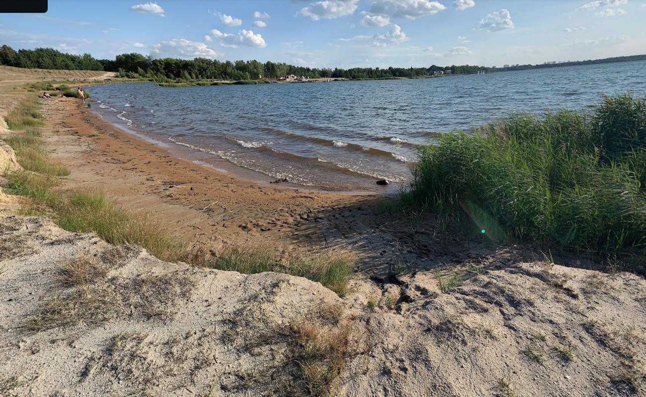 Photo de Hundestrand am Geierswalder See avec l'eau cristalline de surface