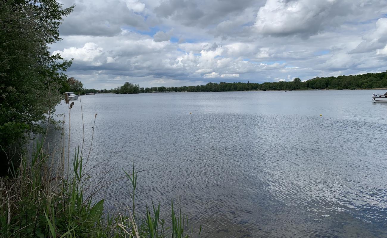 Photo de Strand Am Glindower See avec herbe de surface