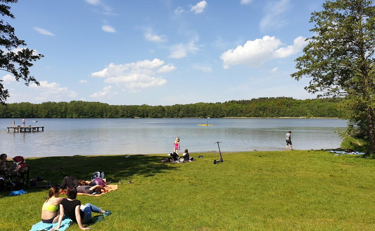 Photo de Granzow Strand avec herbe de surface