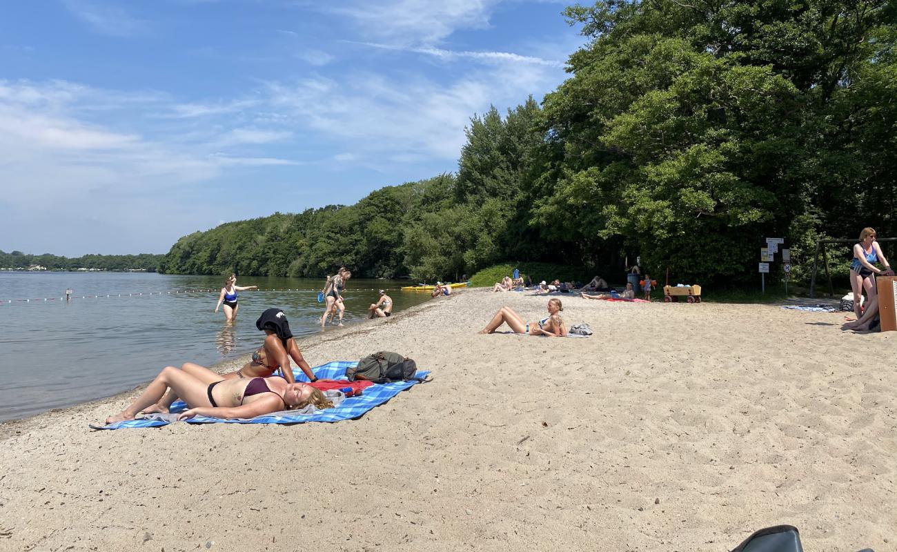 Photo de Badestelle Prinzeninsel avec sable lumineux de surface