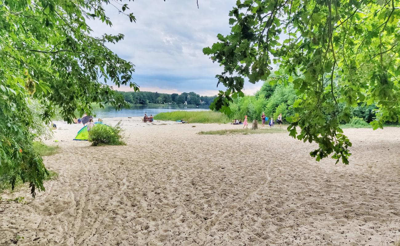 Photo de Badestrand Lehnmarke avec sable lumineux de surface