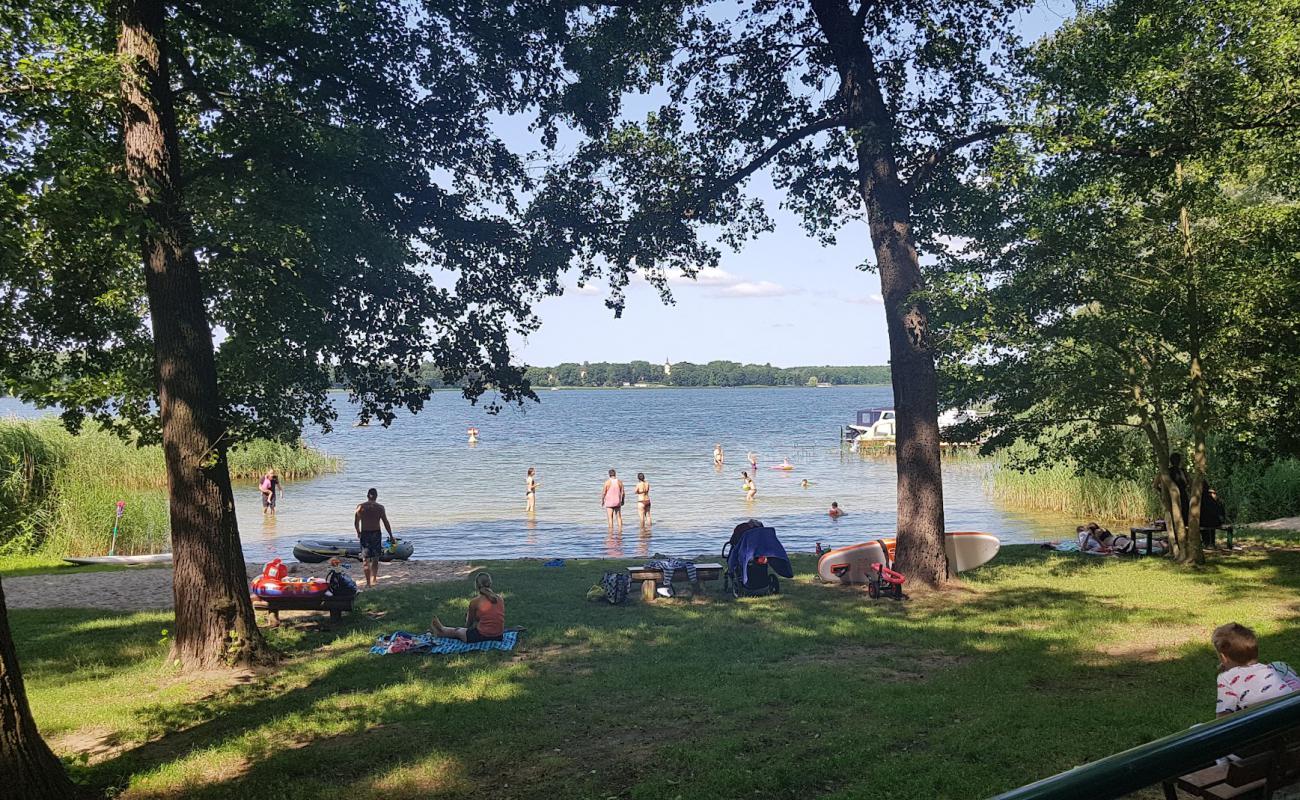 Photo de Reichenwalde Strand avec herbe de surface