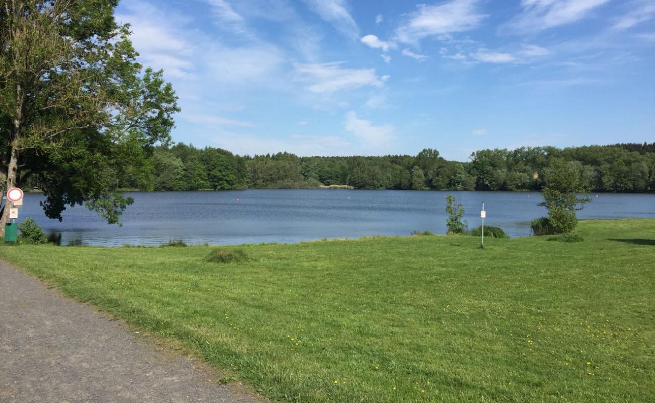 Photo de Weiherhof Strand avec herbe de surface