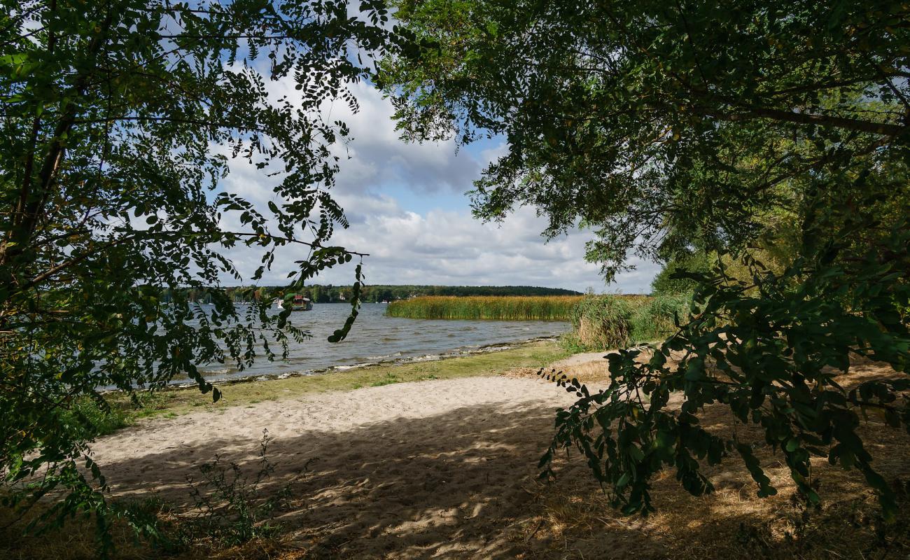 Photo de FKK Strand am "Pennerstrand" avec sable lumineux de surface