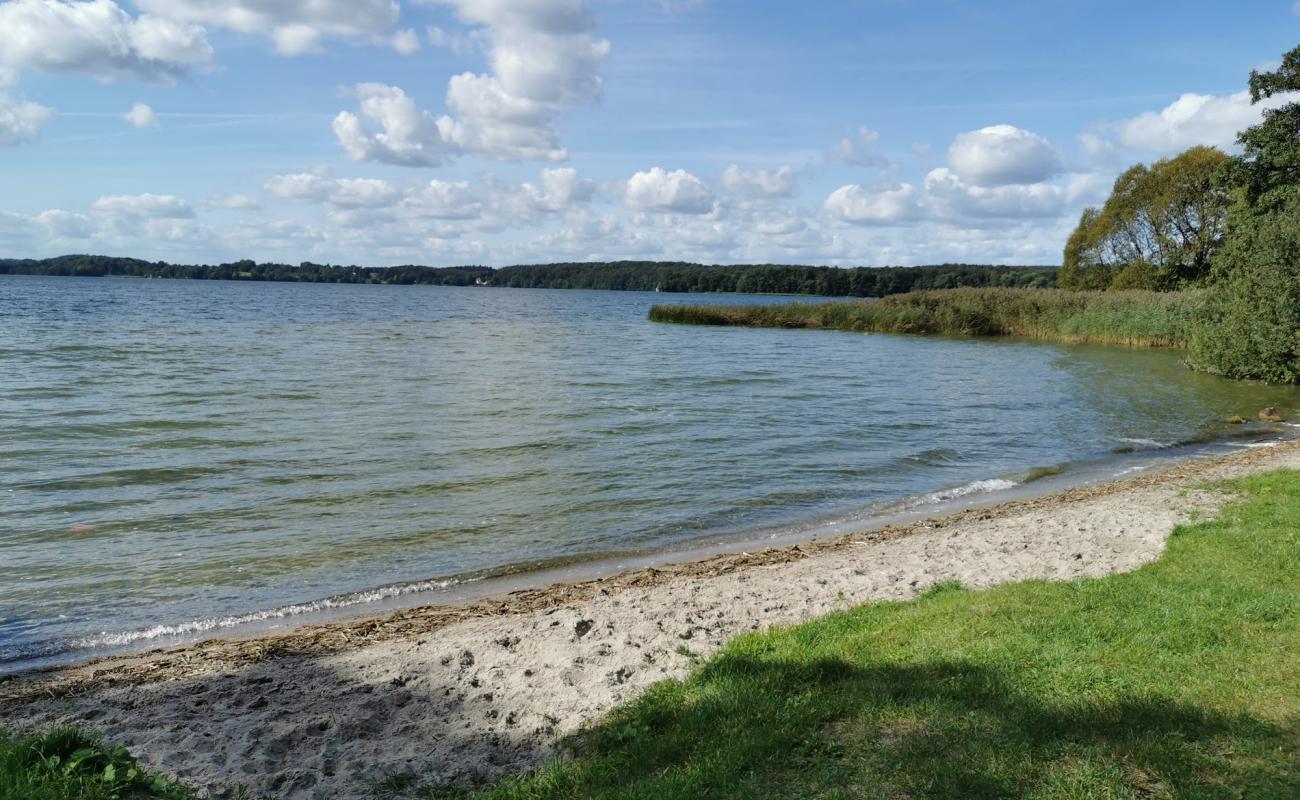 Photo de Hamburger Strand avec herbe de surface
