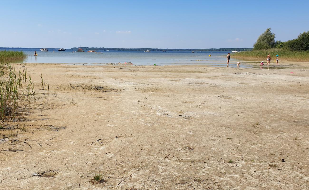 Photo de Badestrand Kolpinsee avec sable beige de surface