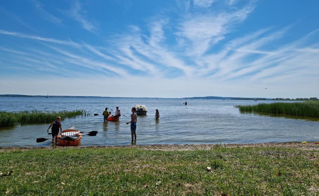 Photo de Hundebadestrand avec herbe de surface