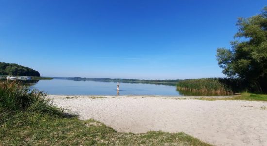 Hundestrand Dahmen