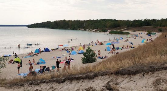 Badestrand Partwitzer See