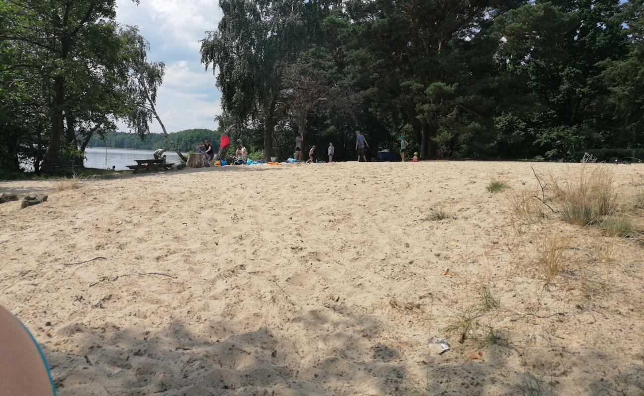 Photo de Badestrand Patzer Hintersee avec herbe de surface