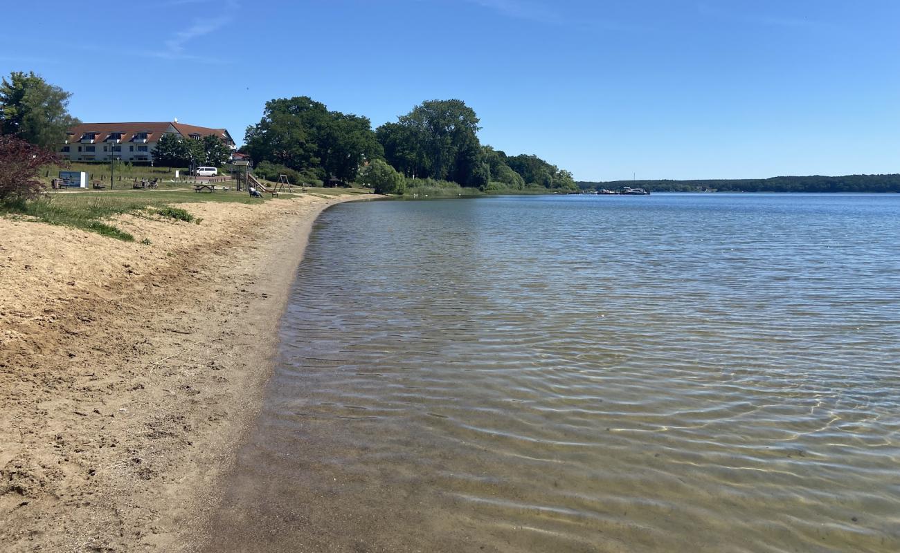 Photo de Seelust Hundestrand avec herbe de surface