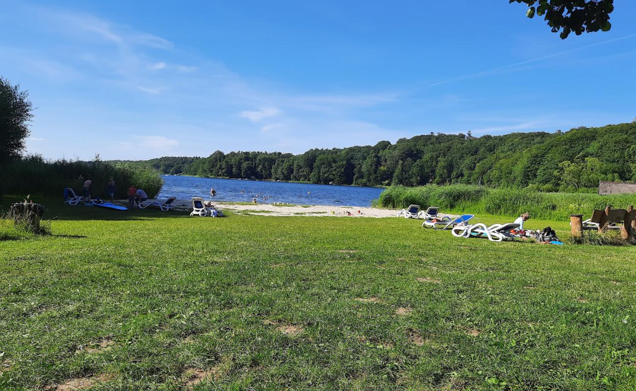 Photo de Badestelle Strand avec herbe de surface