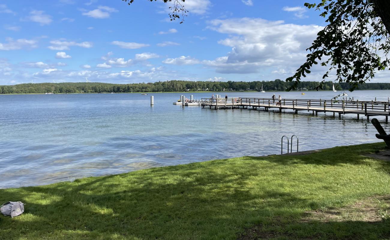 Photo de Hundestrand Wendisch Rietz avec herbe de surface