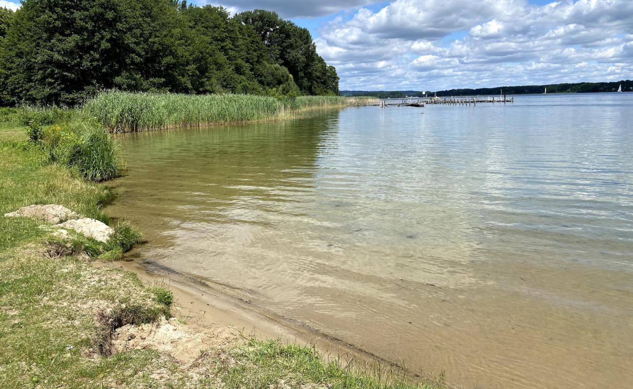 Photo de Strandbad Neptun avec herbe de surface