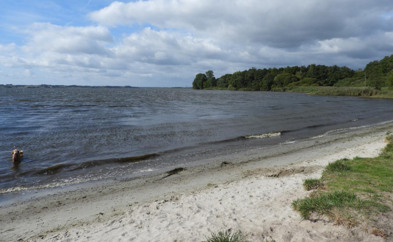 Photo de Hundestrand Klein Westerland avec herbe de surface