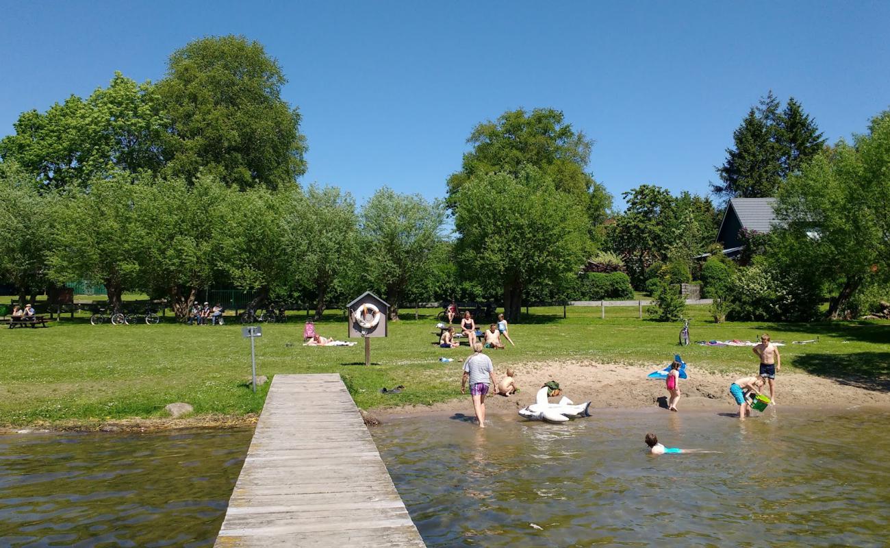 Photo de Badestelle Pulsen avec herbe de surface