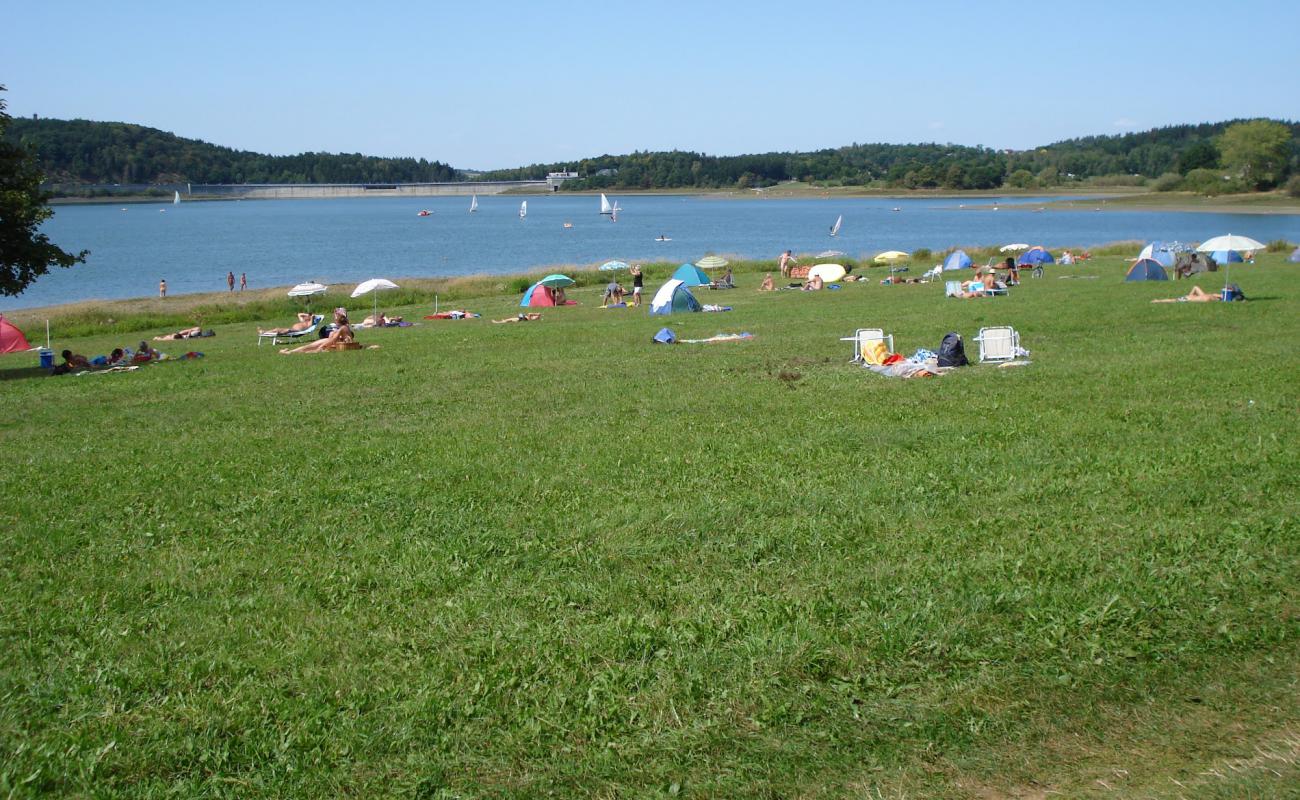 Photo de Pohl FKK Strand avec herbe de surface