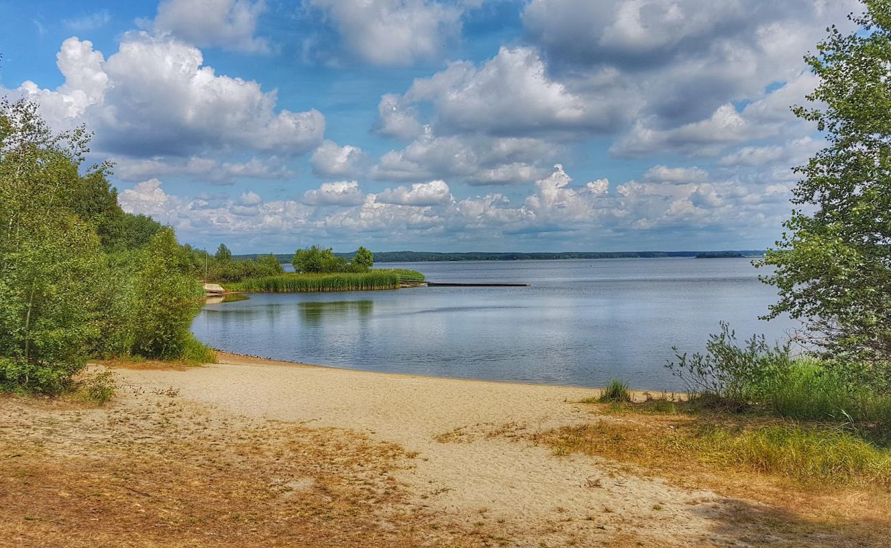 Photo de Quitzdorf am See avec sable lumineux de surface