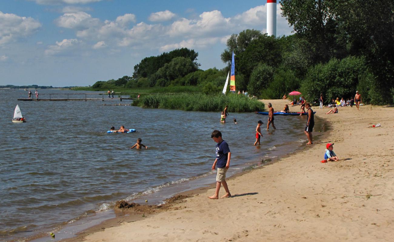 Photo de Kollmar strand avec sable beige de surface