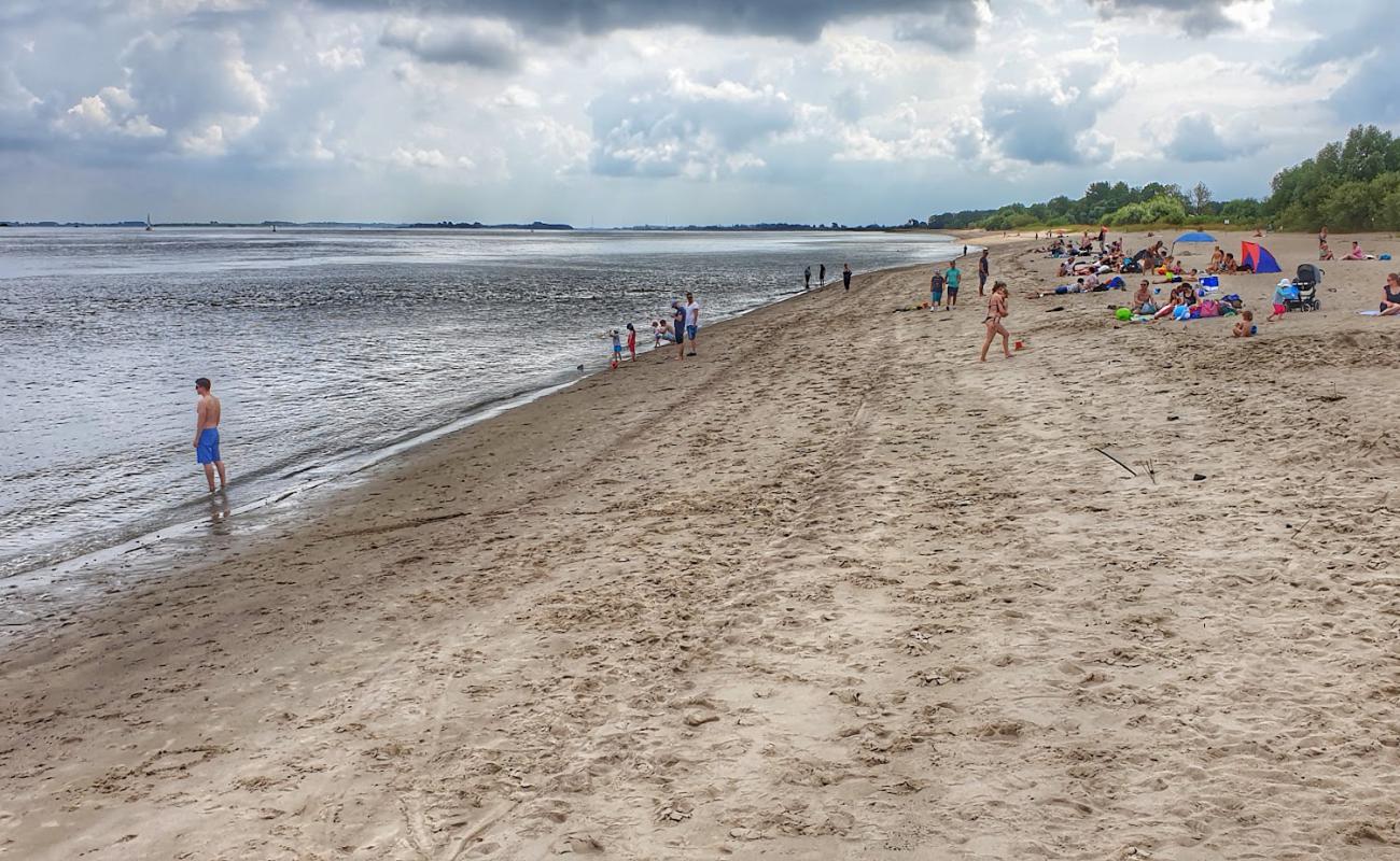 Photo de Krautsand strand avec sable lumineux de surface