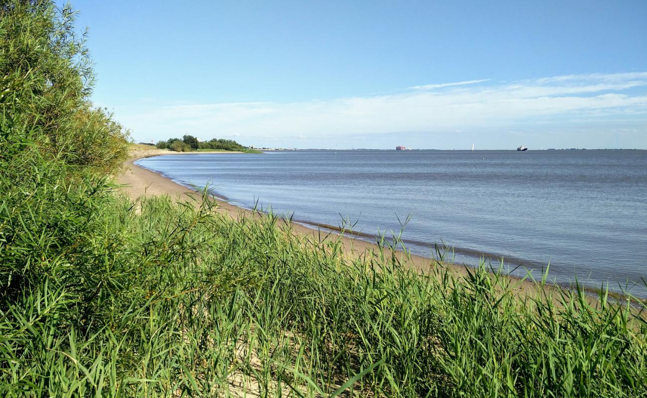 Photo de Brokdorf strand avec sable lumineux de surface