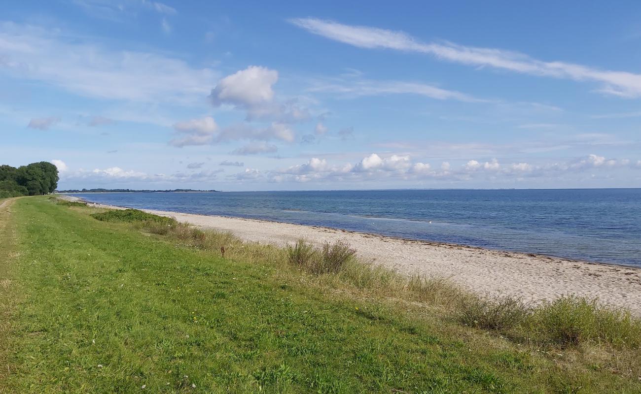 Photo de Maasholm strand avec sable lumineux de surface