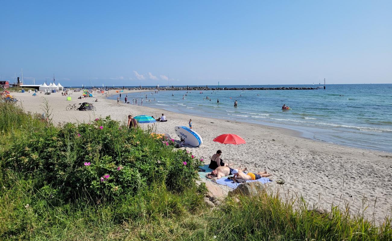 Photo de Damp strand avec sable lumineux de surface