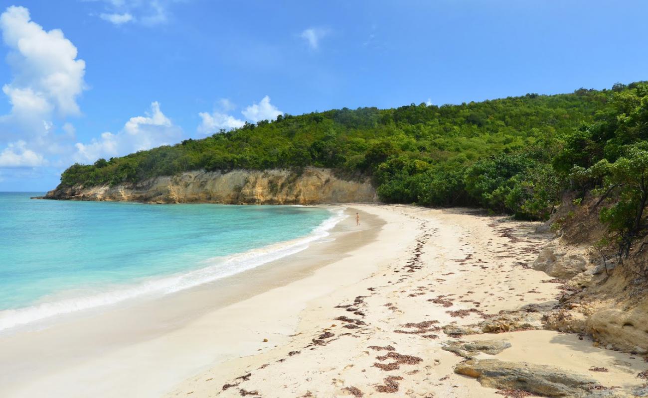 Photo de Bush Bay beach avec sable fin et lumineux de surface