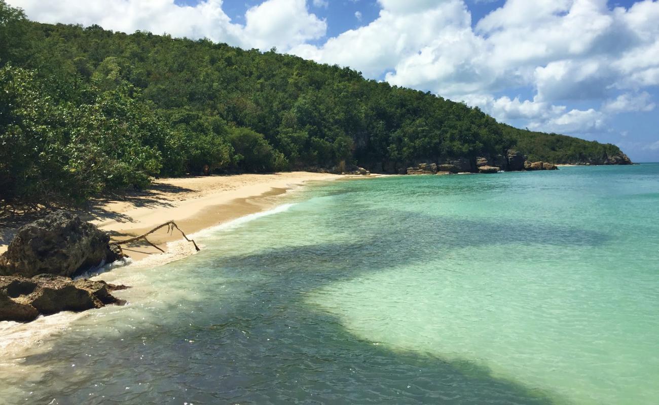 Photo de Blue Waters beach avec sable fin et lumineux de surface