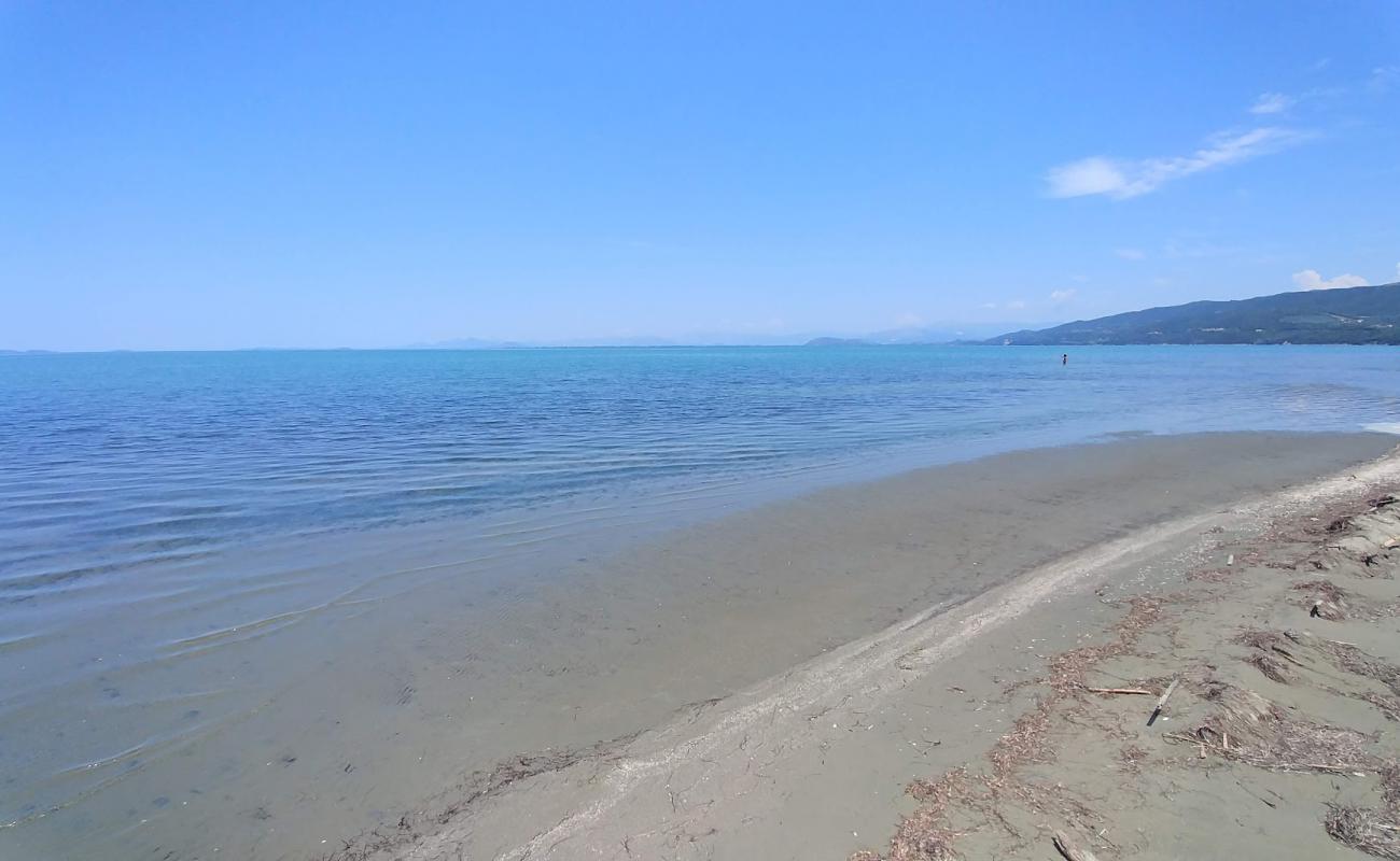 Photo de Spring beach avec sable brun de surface