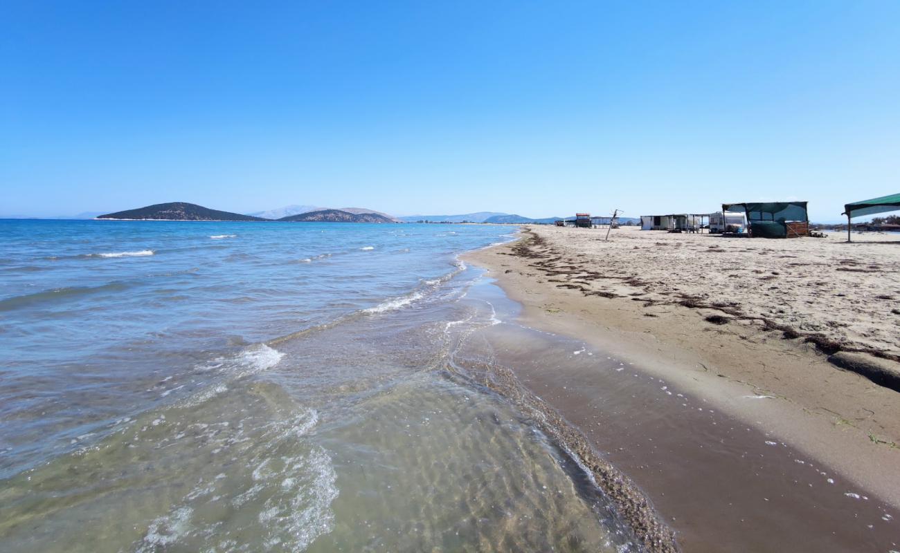 Photo de Dion beach avec sable brun de surface