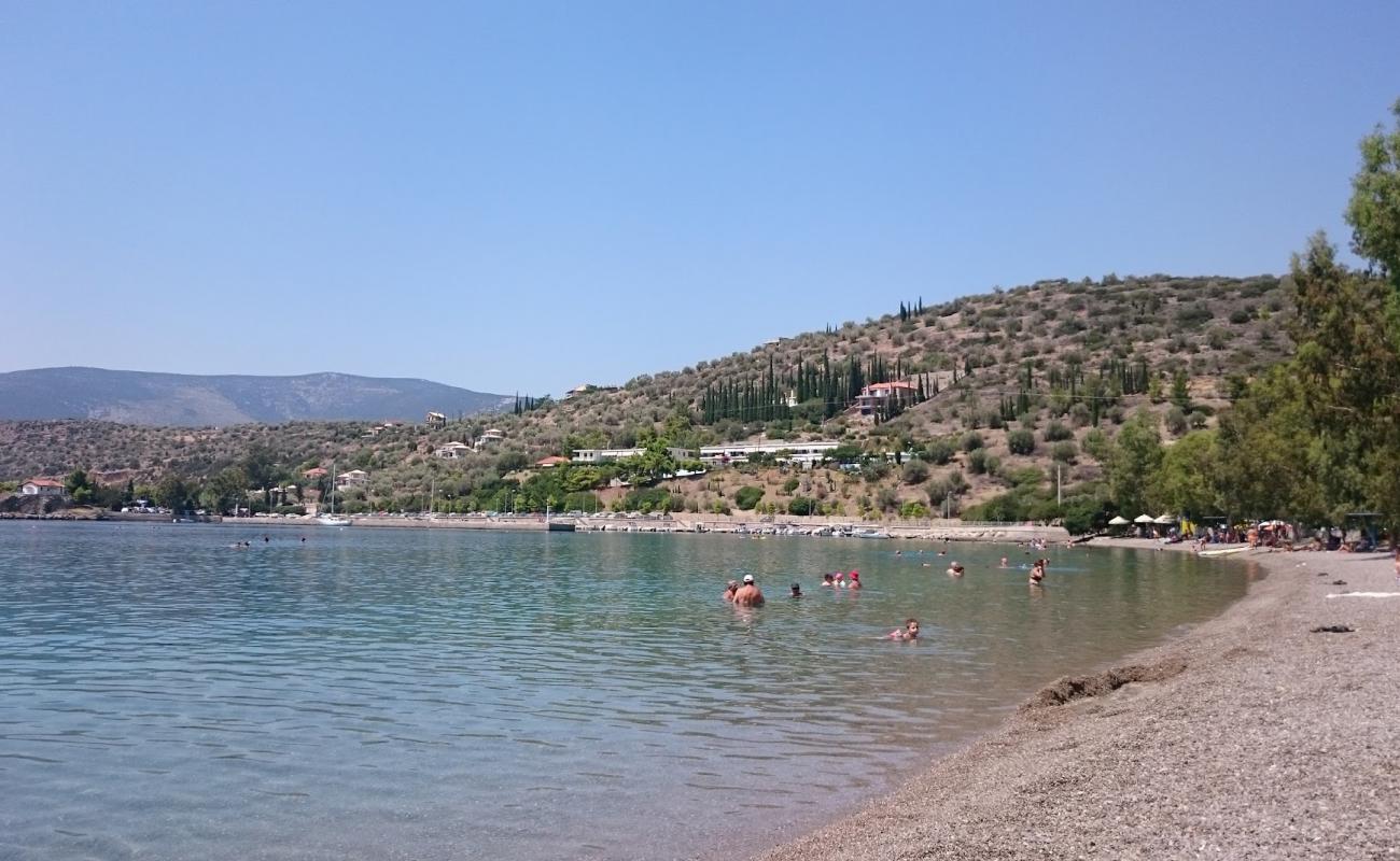 Photo de Agios Isidoros Antikyra avec petits galets beige de surface