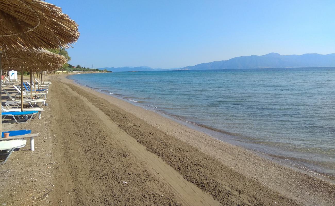 Photo de Livanates beach III avec sable brun de surface