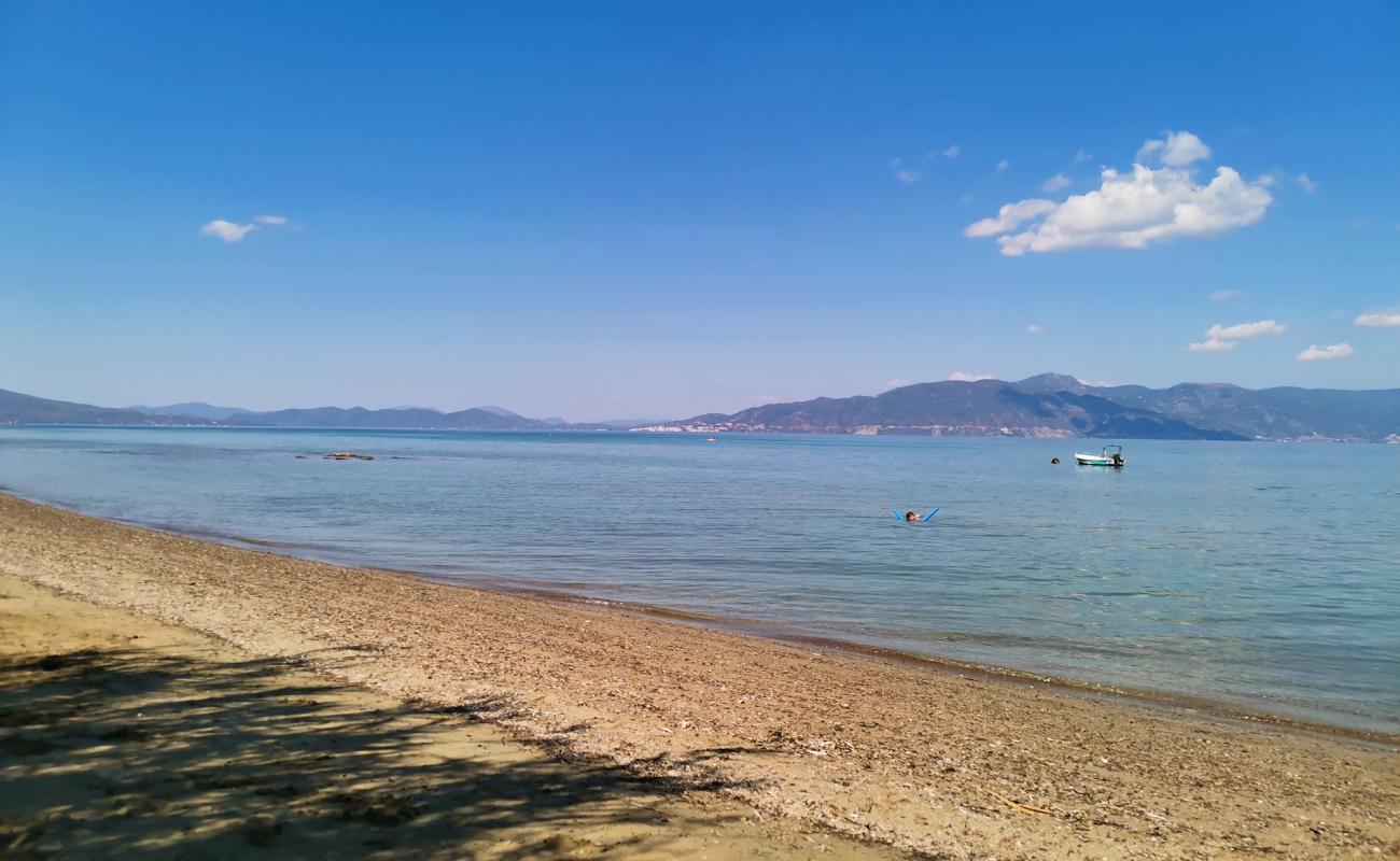 Photo de Kalamia Arkitsa beach avec sable brun de surface