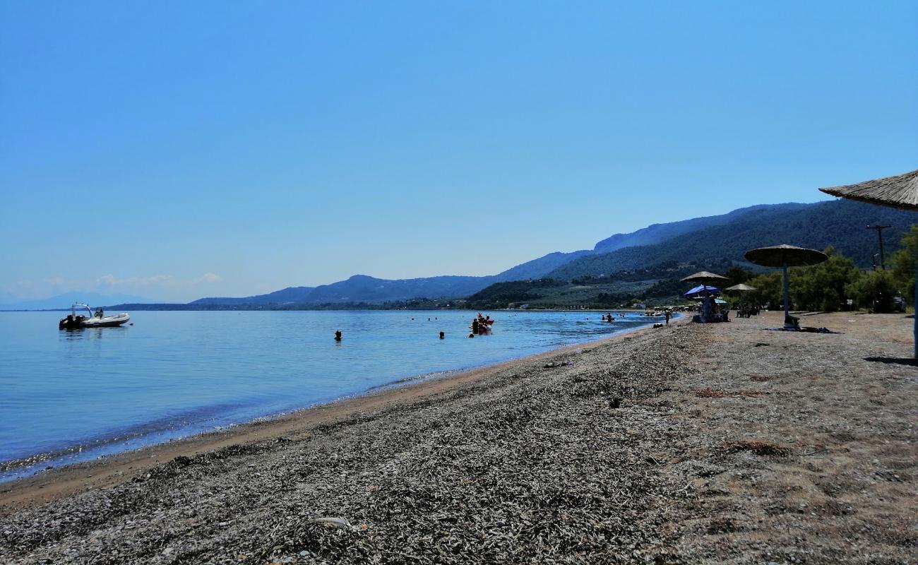 Photo de Loggos beach avec caillou brun de surface