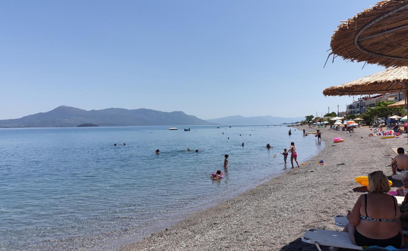 Photo de Pomegranate beach avec sable gris & galets de surface