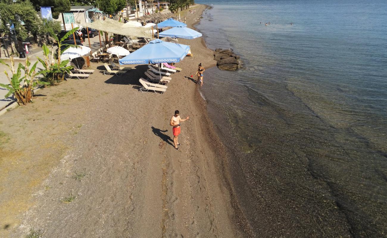 Photo de Rachon beach avec petits galets bruns de surface
