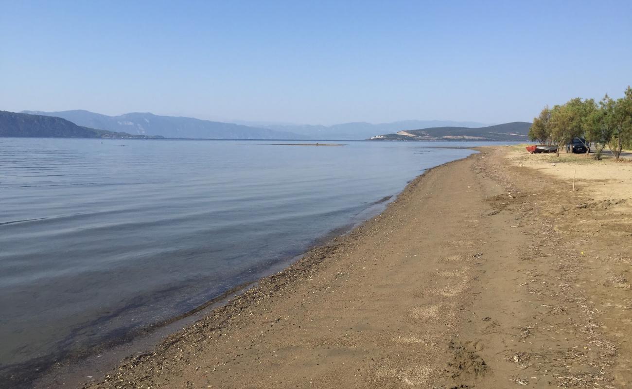 Photo de Pelasgia beach avec sable brun de surface