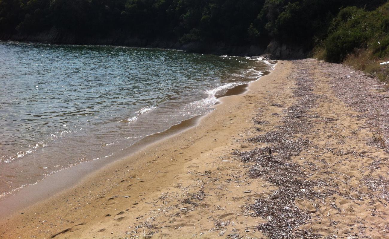 Photo de Karavotsaki beach avec sable lumineux de surface