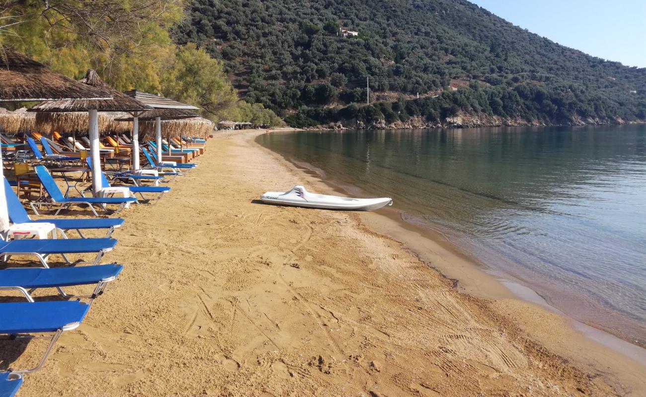 Photo de Lefki beach avec sable beige de surface